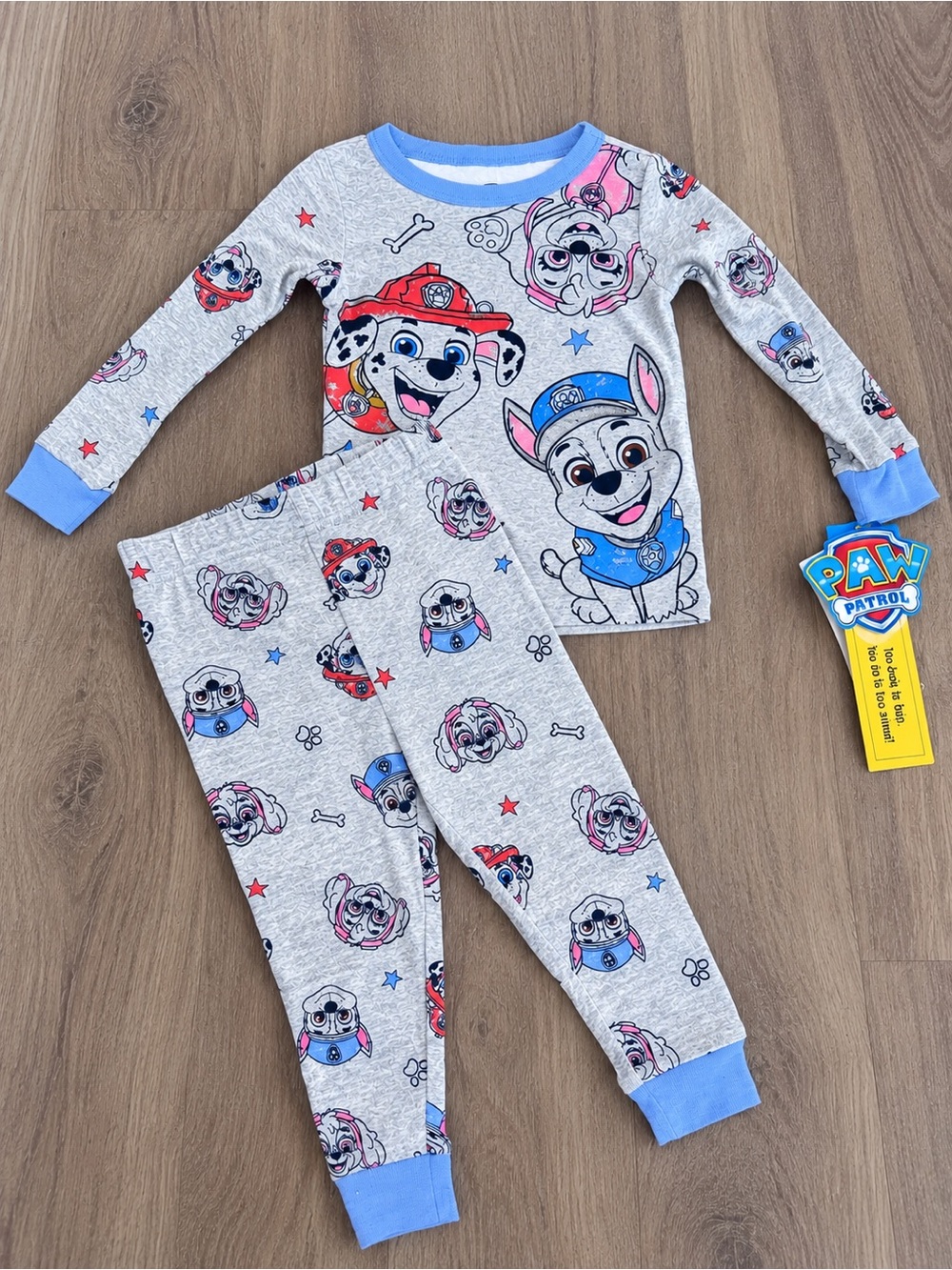 Paw Patrol Kids Gray & Blue Character Long Sleeve Pajama Set